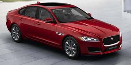 XF Premium