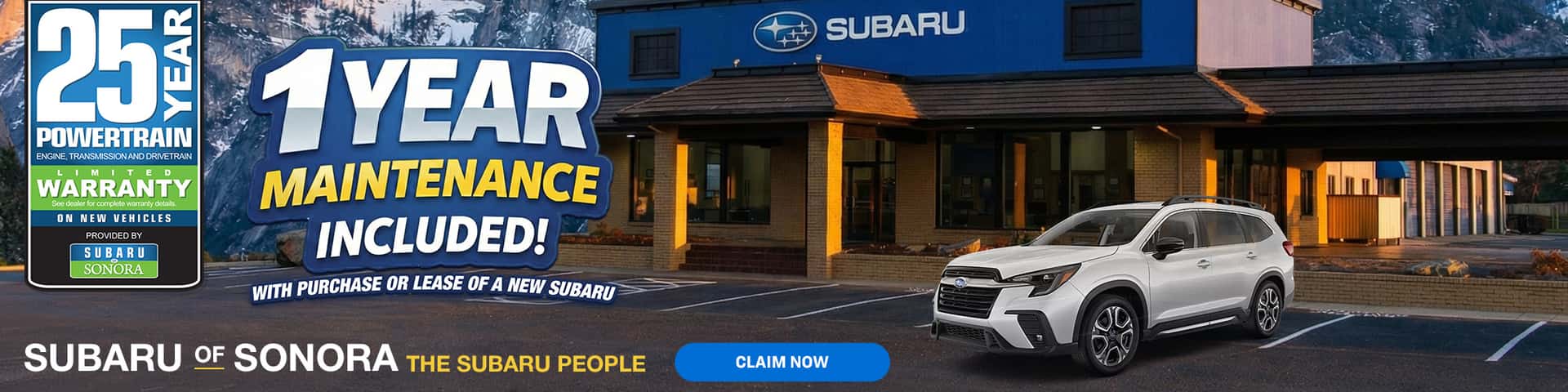 1 Year Complimentary Maintenance