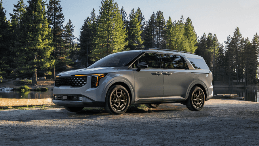 gray SUV at a wooded wild park