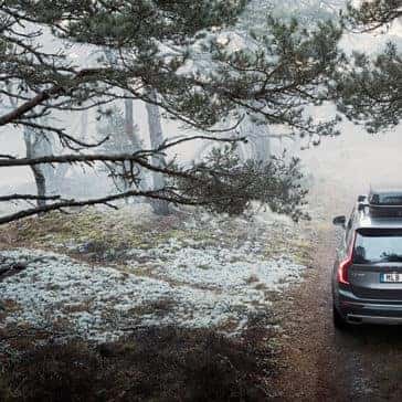 2018 Volvo XC90 Rear