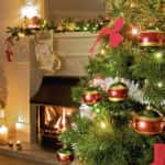 Festival of Trees