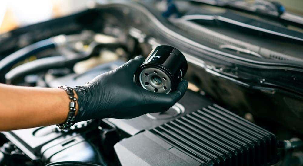 Checking Your Oil Filters Nissan Service Near Morris IL