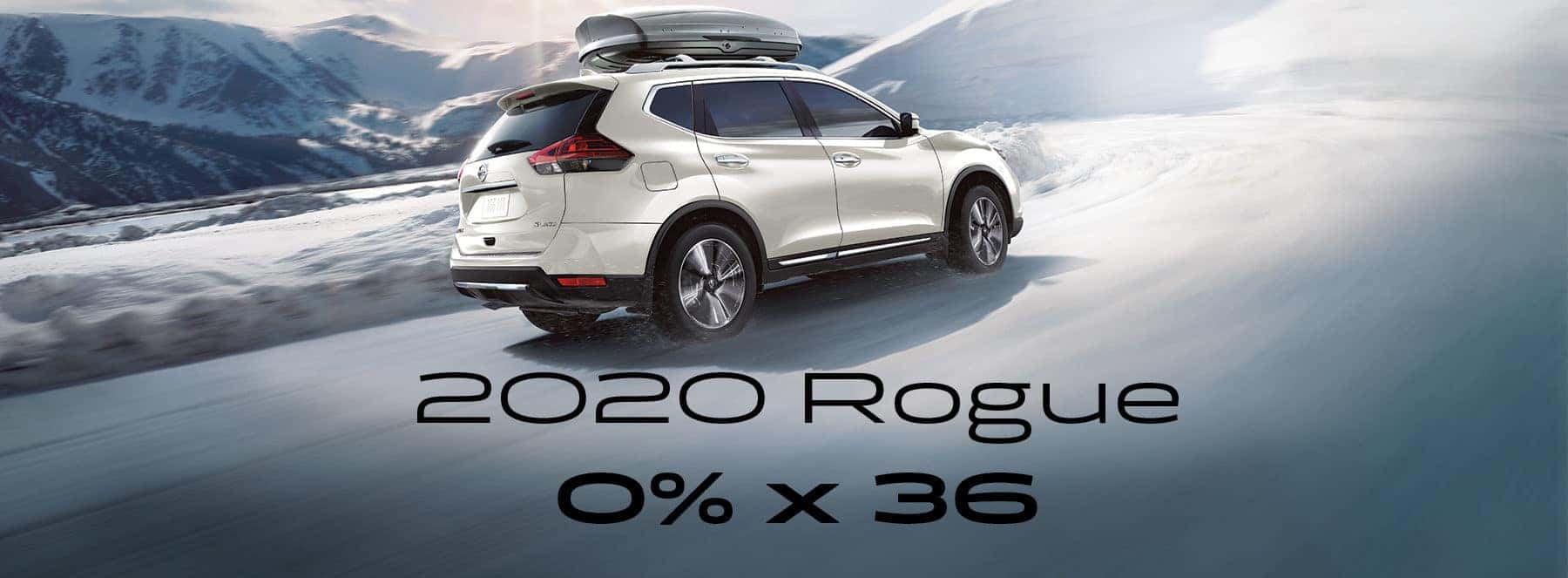 20RogueJan