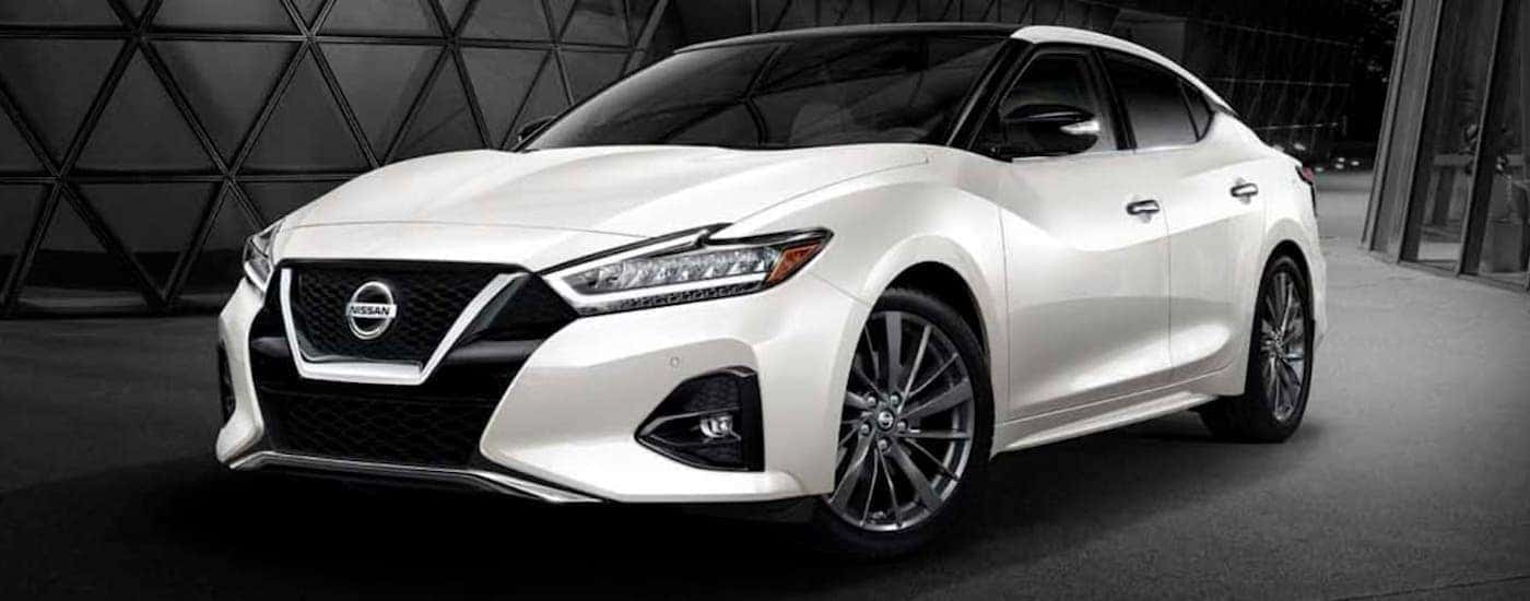 A white 2019 Nissan Maxima is shown from the front parked in a modern gallery.