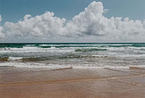The Guide to Things to Do in South Padre Island - Tipton Hyundai