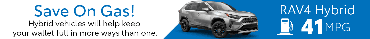 RAV4 H22