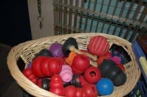 Donate Pet Toys