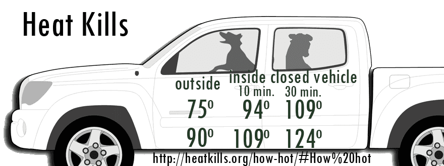 Don't Leave Pets in Hot Car