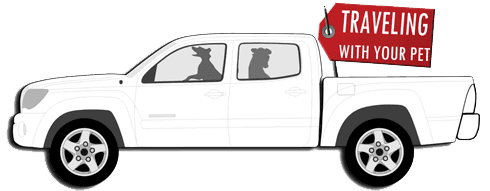 Tacoma Dogs Traveling