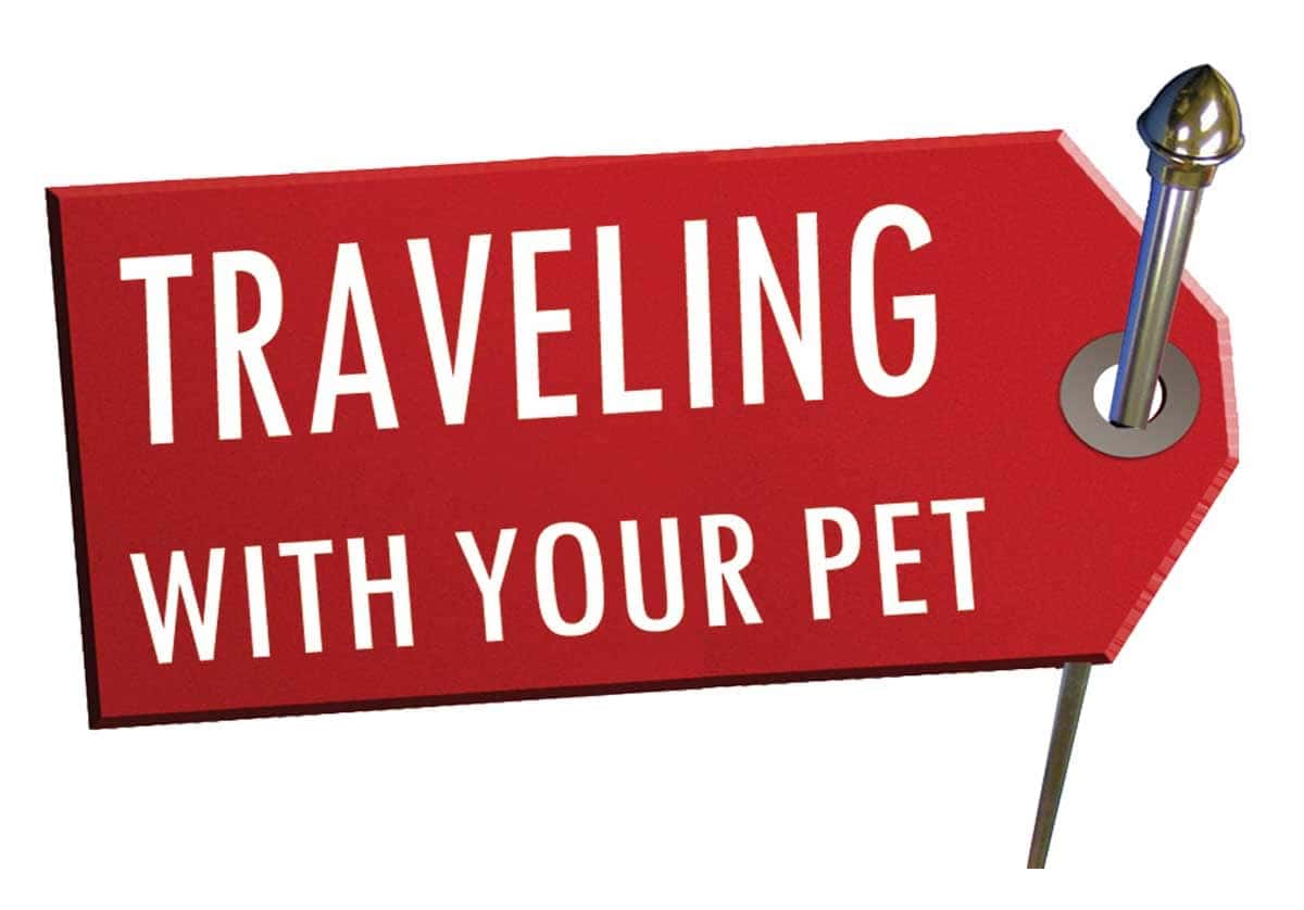 Traveling with your pet