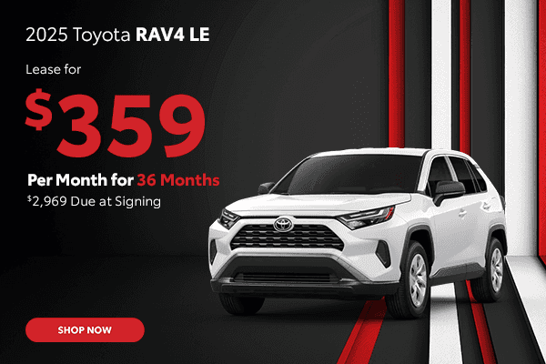 2025 RAV4 LE