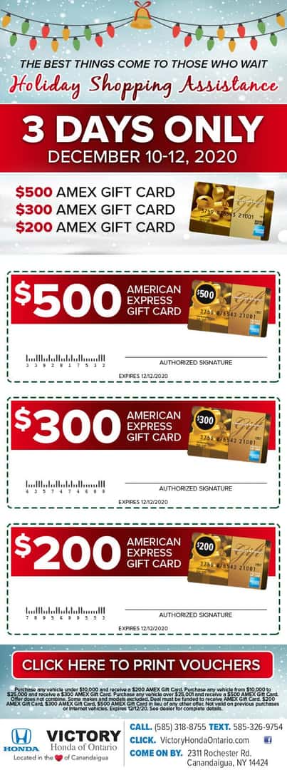 Holiday Shopping Assistance - 3 Days Only