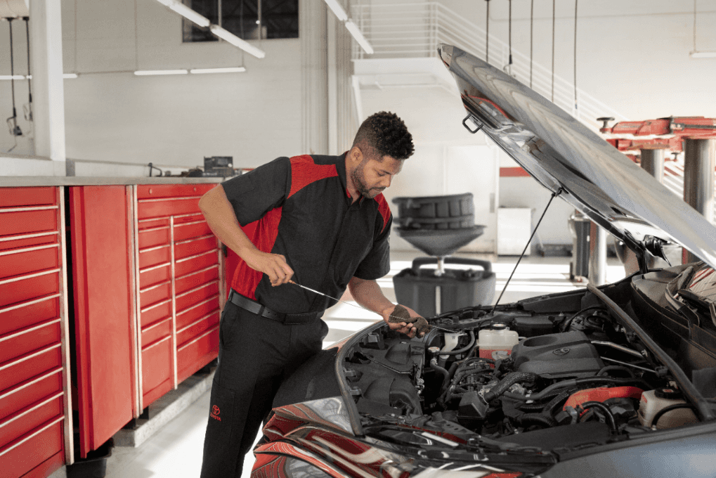 Servicio Toyota cerca de Lutz FL
