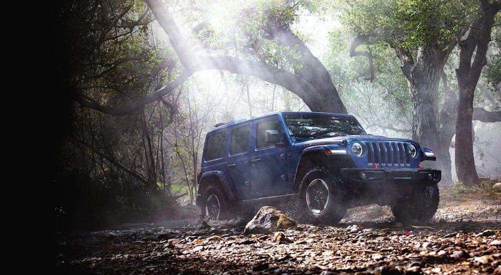 A blue 2020 Jeep Wrangler Unlimited is driving through a woodland river near Florence, KY.