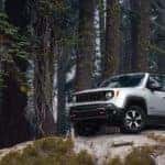 A popular Jeep SUV, a silver 2020 Jeep Renegade Trailhawk is parked on a large rock in the forest.