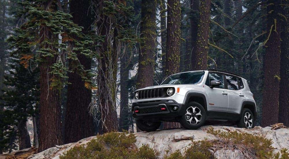A popular Jeep SUV, a silver 2020 Jeep Renegade Trailhawk is parked on a large rock in the forest.