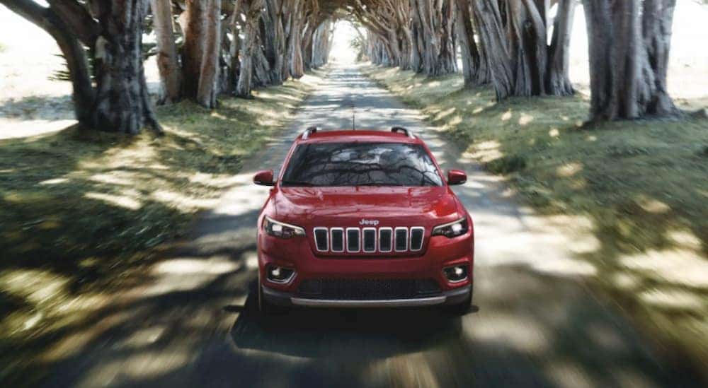 A red 2020 Jeep Cherokee is driving on a narrow road lined with large trees.