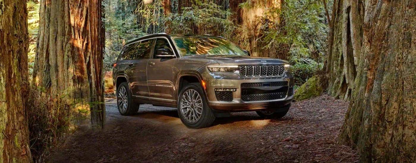 A tan Pre-Owned 2021 Jeep Grand Cherokee is parked in the forest.