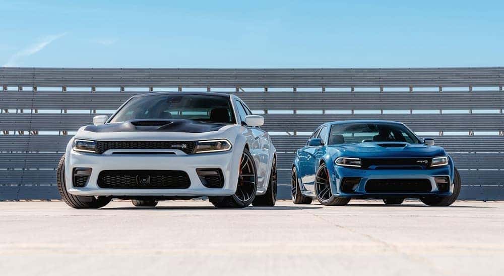 A white and a blue 2019 Dodge Charger are shown from the front parked on a race track.
