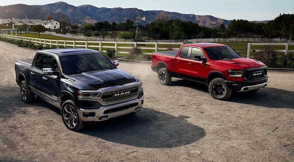 A red and a black 2019 Ram 1500 are shown parked on a dirt road on a farm.