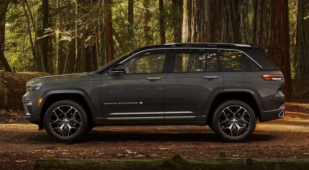 A grey 2023 Grand Cherokee is shown from the side parked in the forest.