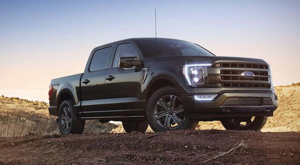 A black 2021 Ford F-150 parked off-road.