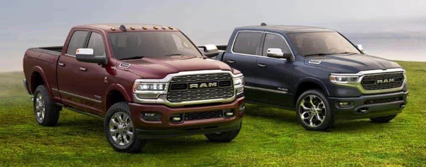 A maroon and a blue Ram 1500 are parked on a grassy field.