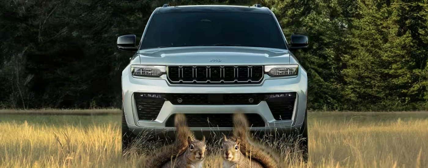 A silver 2026 Jeep Grand Cherokee parked on grass.
